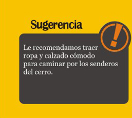 ropa